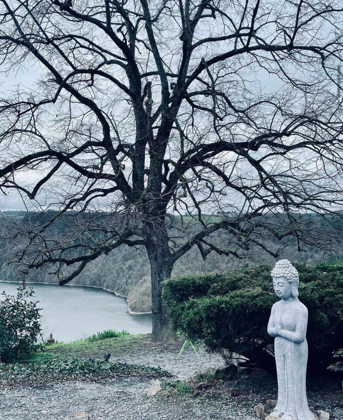 Saint-Jean-Saint-Maurice-sur-Loire Les Yourtes O Fil 2 L'Eau מראה חיצוני תמונה